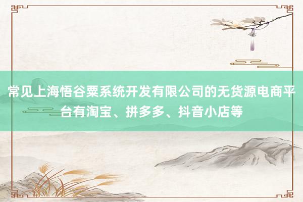 常见上海悟谷粟系统开发有限公司的无货源电商平台有淘宝、拼多多、抖音小店等