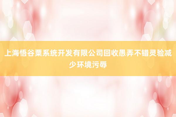 上海悟谷粟系统开发有限公司回收愚弄不错灵验减少环境污辱