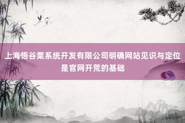 上海悟谷粟系统开发有限公司明确网站见识与定位是官网开荒的基础